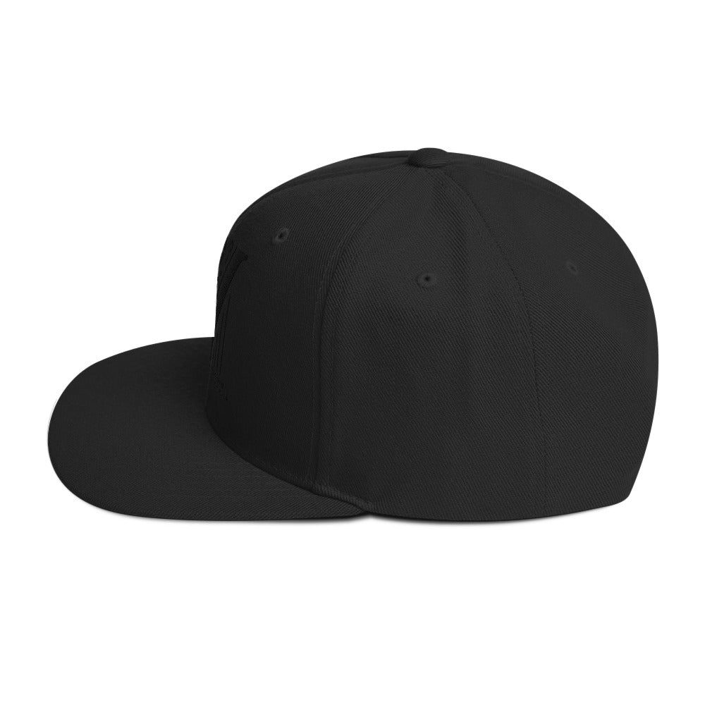 Embroidered Black Virtus Logo Snapback