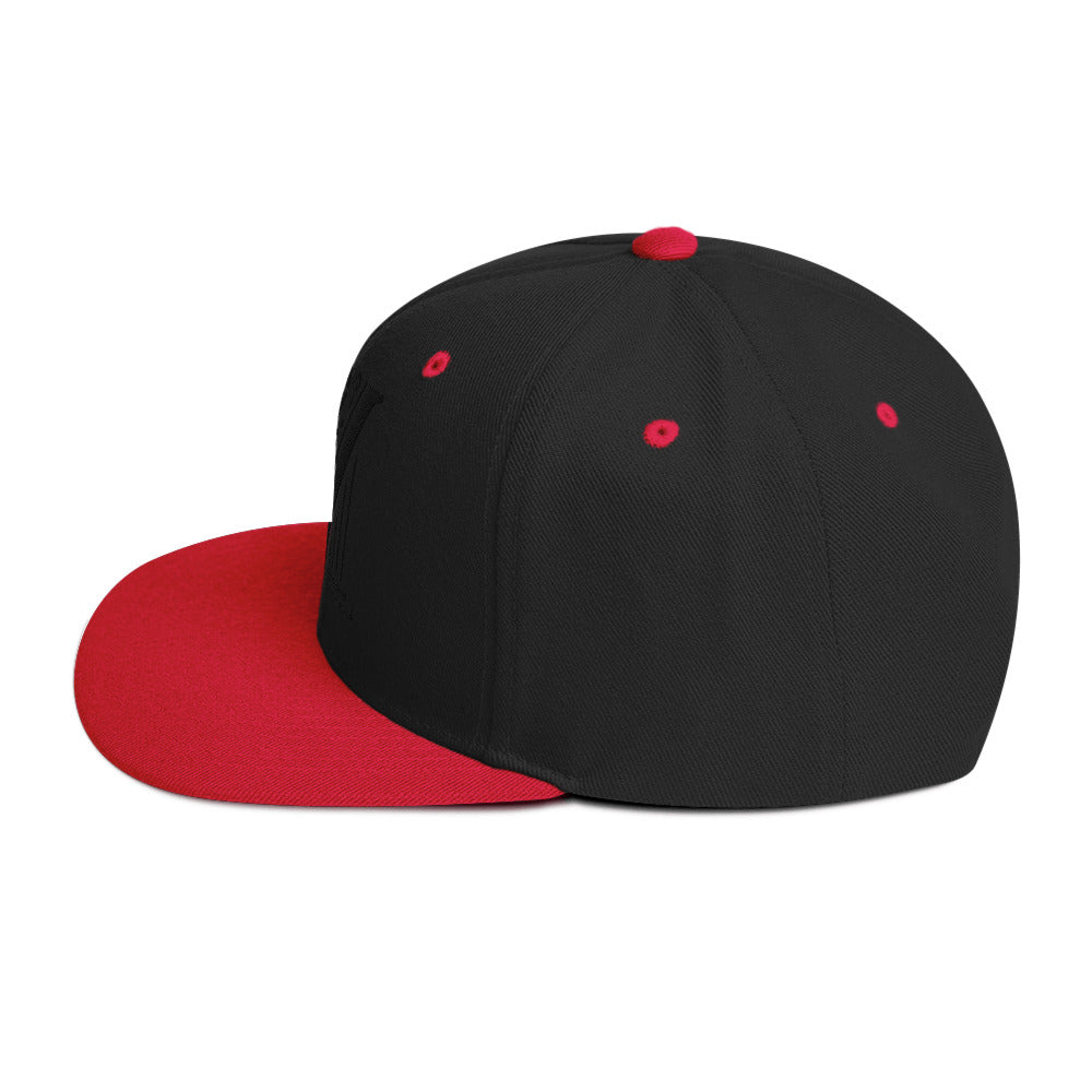 Embroidered Black Virtus Logo Snapback