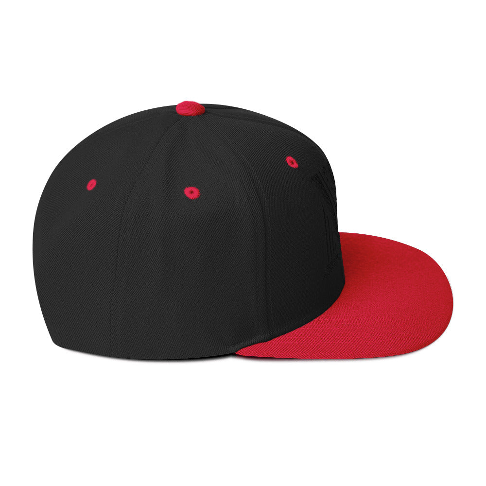 Embroidered Black Virtus Logo Snapback