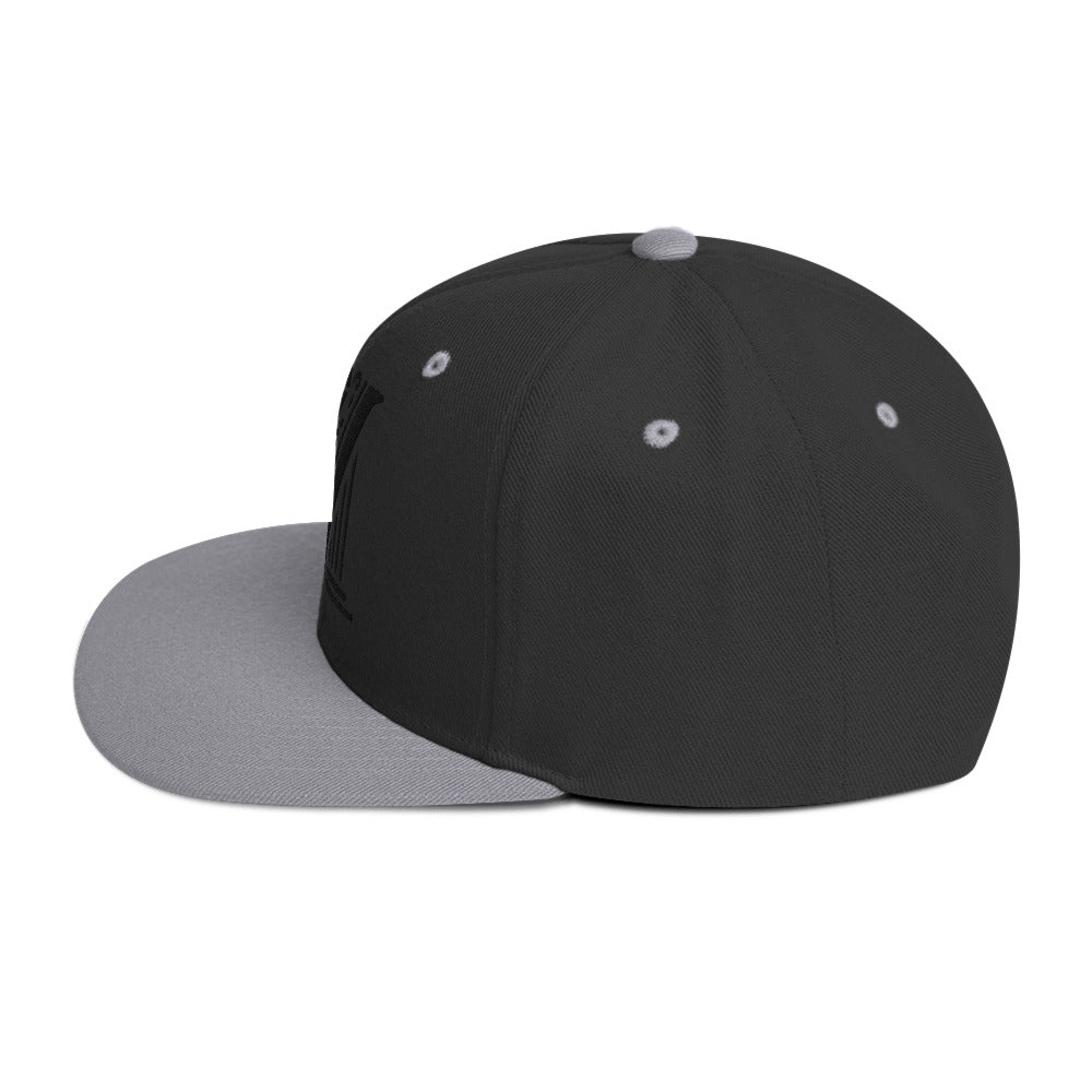 Embroidered Black Virtus Logo Snapback