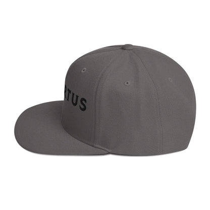 Embroidered - White Virtus Snapback