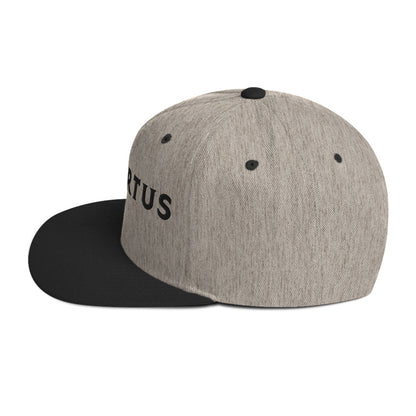 Embroidered - White Virtus Snapback