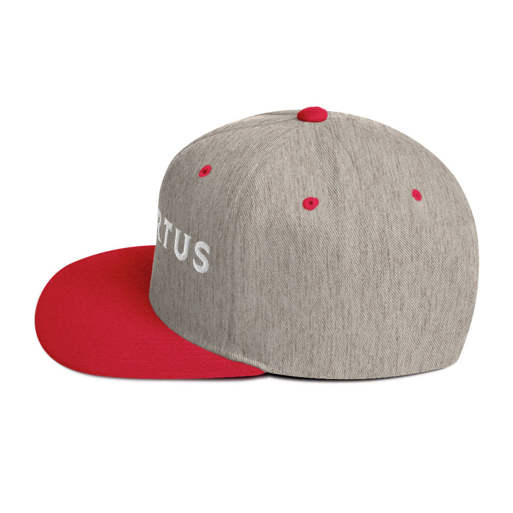 Embroidered - White Virtus Snapback