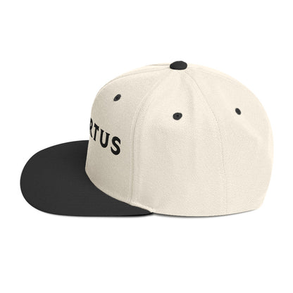 Embroidered - White Virtus Snapback